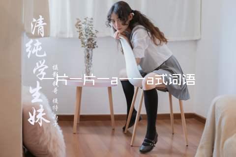 一片一片一a一一a式词语