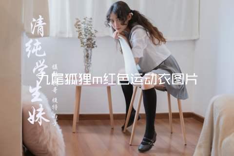 九尾狐狸m红色运动衣图片