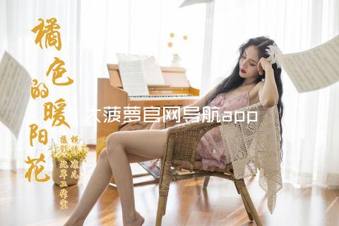 大菠萝官网导航app