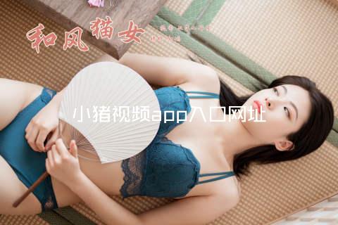 小猪视频app入口网址