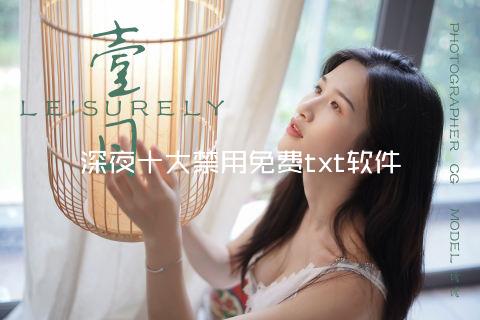 深夜十大禁用免费txt软件