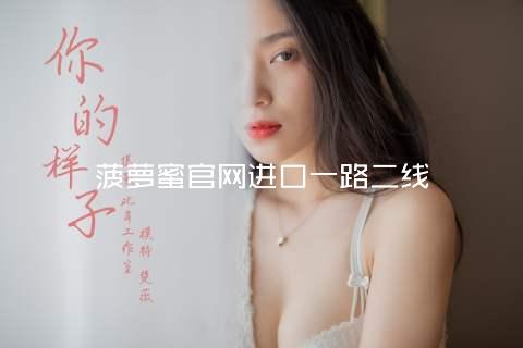 菠萝蜜官网进口一路二线