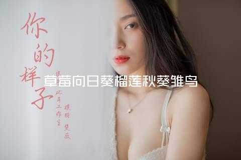 草莓向日葵榴莲秋葵雏鸟