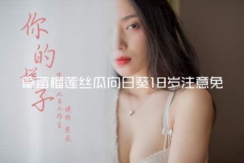 草莓榴莲丝瓜向日葵18岁注意免