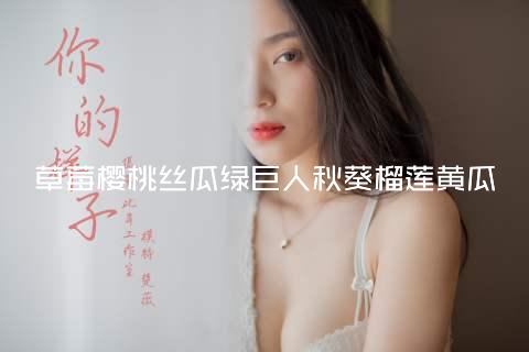草莓樱桃丝瓜绿巨人秋葵榴莲黄瓜