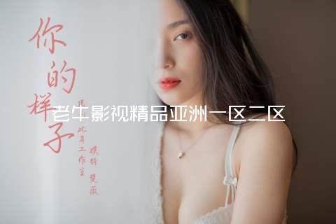 老牛影视精品亚洲一区二区