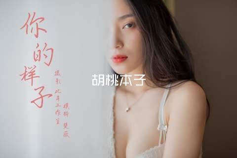 胡桃本子