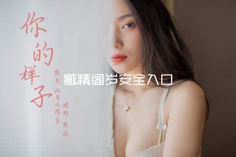臧精阁岁安全入口