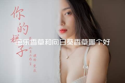 芭乐香草和向日葵香草哪个好