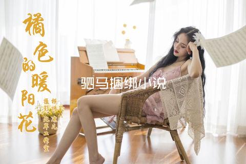 驷马捆绑小说