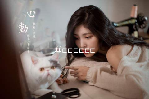 #cccccc
