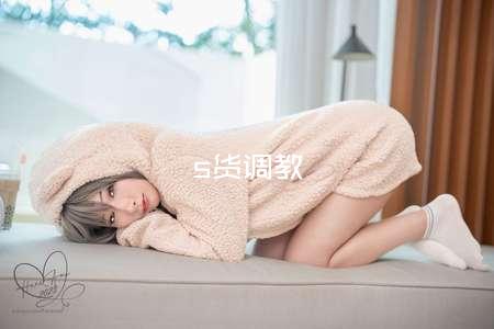 s货调教