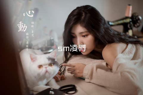 sm凌辱