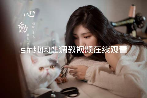 sm纯肉性调教视频在线观看