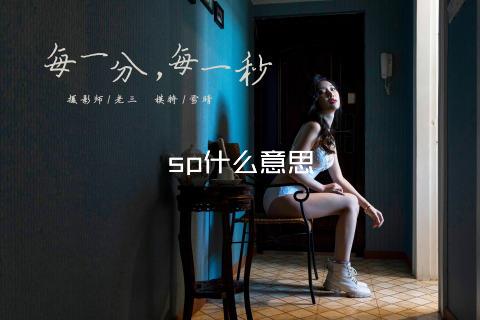sp什么意思